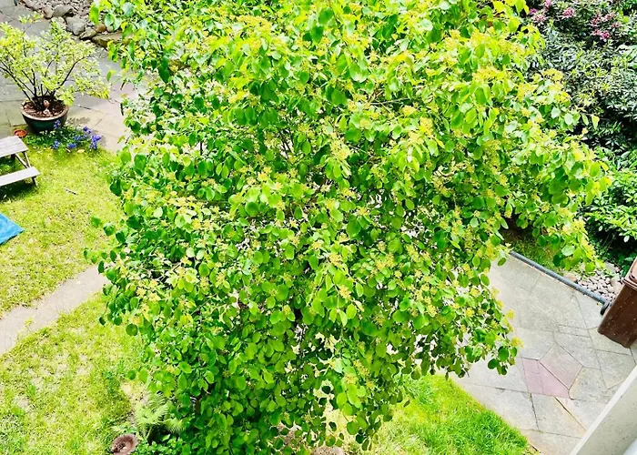 Comfort Anviolhomes Appartement